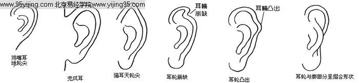 面相论命口诀，刘恒面相教学之杂篇（四）