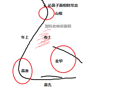 面相金甲图片