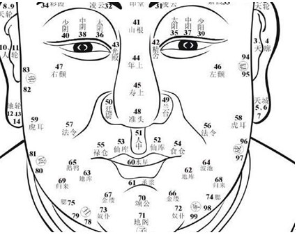 面相学鼻子图解，刘恒面相培训鼻子